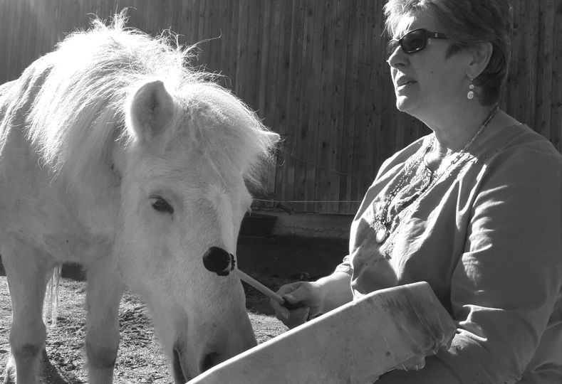 Read more about the article Schamanisch Reisen lernen mit Pferden